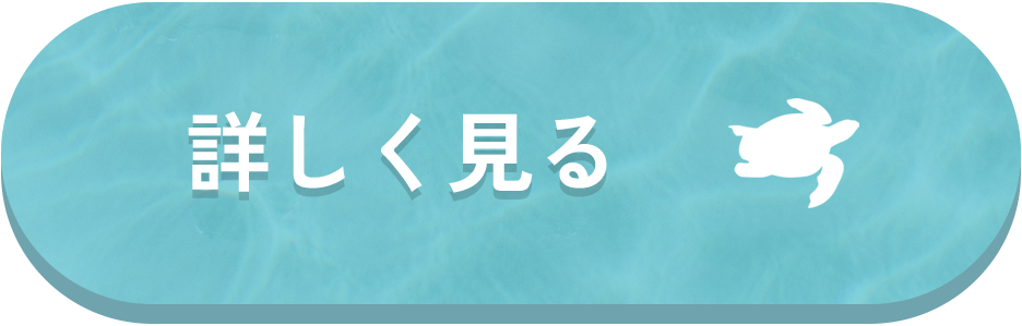 詳しく見る