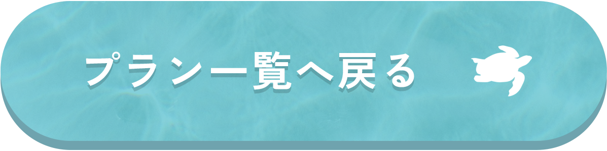 プラン一覧へ戻る