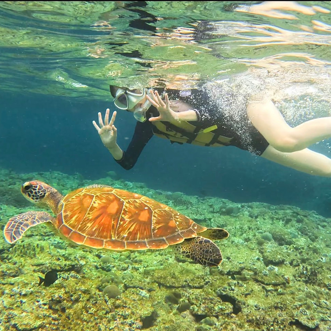 少人数制！ウミガメ見れる確率99%青の洞窟シュノーケル！GoPro撮影付き